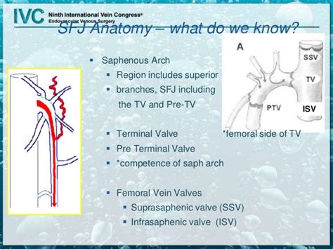 Duplex for Superficial Venous Disease