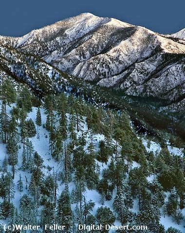 National Forest: Angeles National Forest Camping