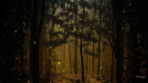 Fireflies Wallpapers - Wallpaper Cave