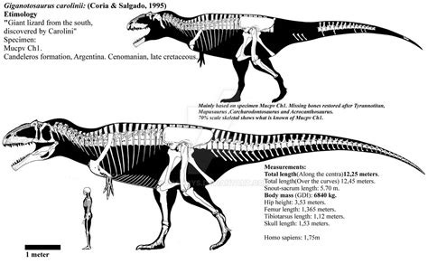 Giganotosaurus carolinii | The World of Animals