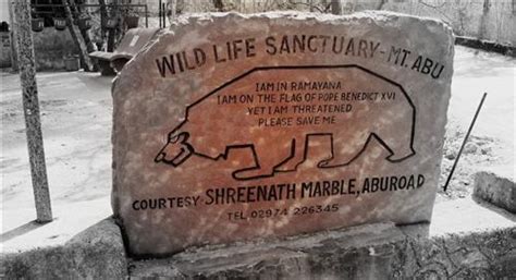 Mount Abu Wildlife Sanctuary, Wildlife Sanctuary on The Aravallis