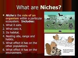 Niche Biology