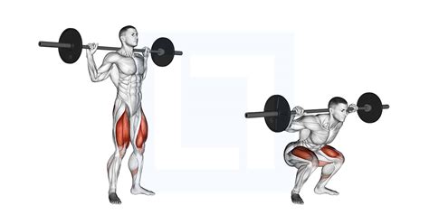 Barbell Full Squat - Guide, Benefits, and Form