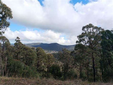 Yarra Ranges National Park - Camping & Accommodation