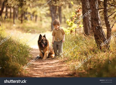 Little Child Big Dog Best Friends Stock Photo 1087121573 | Shutterstock