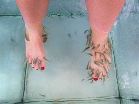 Fish Pedicure – Villa Arghy