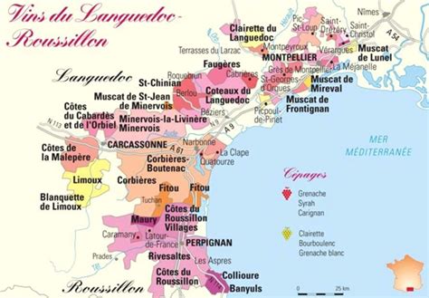 La région vitivinicole : le Languedoc-Roussillon... - Emilie, Ancienne Sommelière