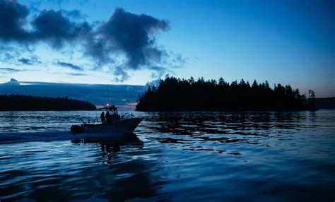 Salmon fishing at Langara Island Lodge feature video