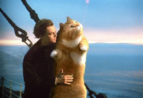 Fat Cat Titanic Photo