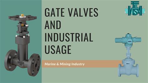 Gate Valves & Industrial Usage Gate Valves - Fevisa