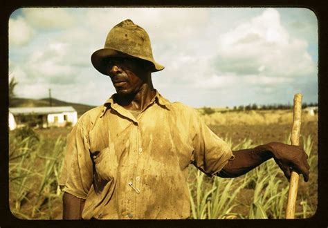 Celebrating Black Farmers through Film | Edible East Bay