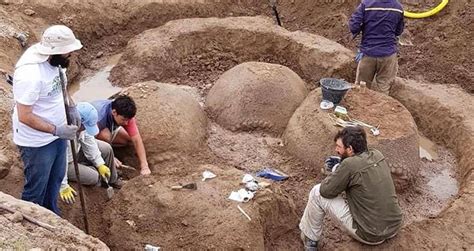 Argentinian Farmer Finds Four Fossilized Ancient Armadillos