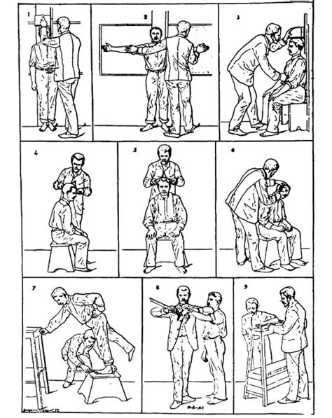 Anthropometry - Definition, History and Applications | Biology Dictionary