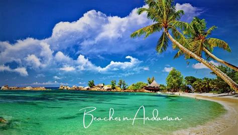 10 Best Beaches in Andaman You Should Consider for Vacation- TRISOJ