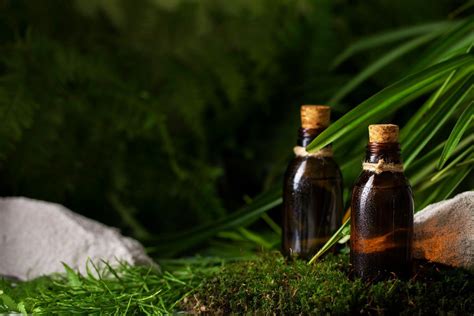 5 Ayurvedic Oils That Can Enhance Your Daily Routine - Passion Life Love Health