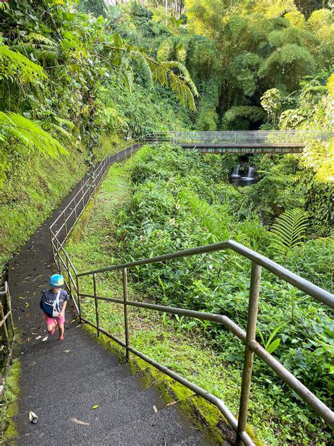 This Majestic Akaka Falls Hike Should Top Your Big Island Itinerary