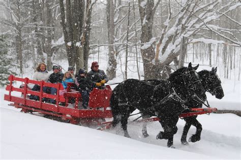 Black Horse Farm- Sleigh Ride | Sleigh ride, Winter pictures, Winter magic