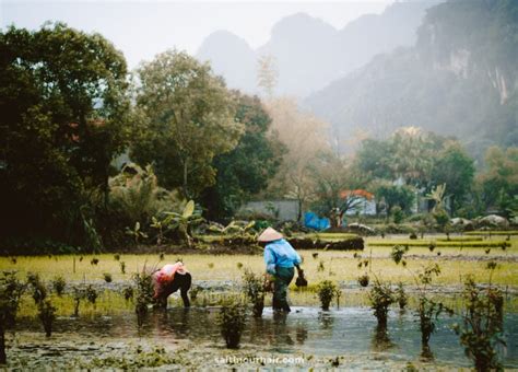 Best Things To Do in Ninh Binh & Tam Coc (Vietnam) · Salt in our Hair