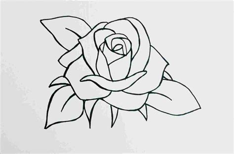 Pretty Rose Drawing at PaintingValley.com | Explore collection of Pretty Rose Drawing