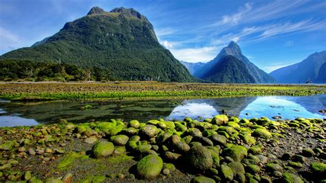 Fiordland National Park Wallpapers - Wallpaper Cave