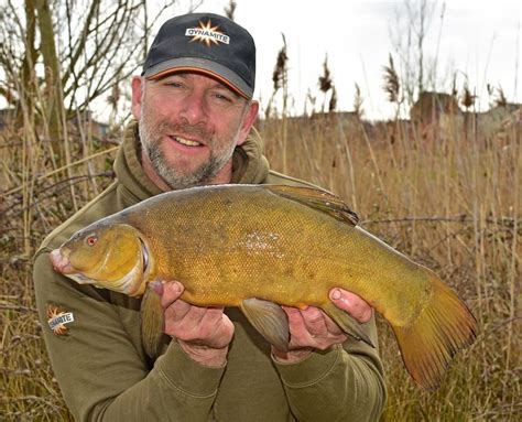 Early Season tench - Fishing Buzz