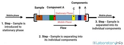 Instrumentation High Performance Liquid Chromatography Hplc | The Best ...