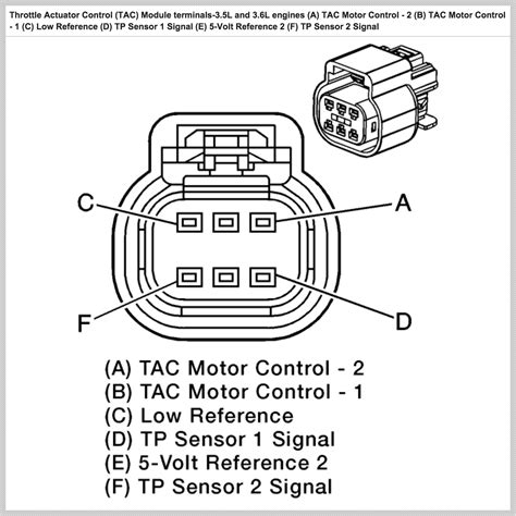 Chevy Throttle Body Wiring Diagram - Wiring Diagram