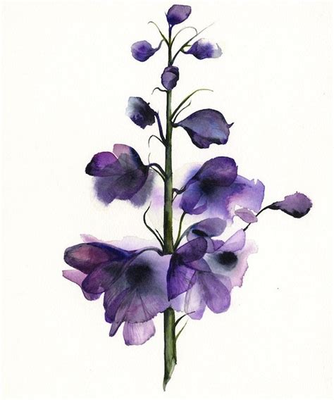 Delphinium Botanical Print Watercolor Botanical Watercolor - Etsy