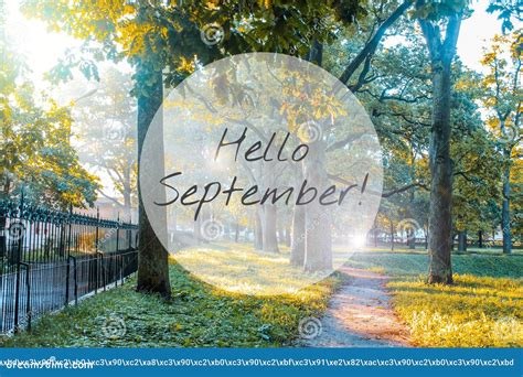 Hello September Banner. New Month. Greeting Card. Golden Autumn. the ...