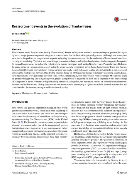 (PDF) Reassortment events in the evolution of hantaviruses