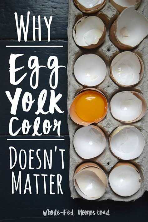 Why Egg Yolk Color Doesn't Matter - Whole-Fed Homestead