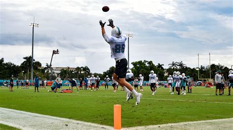 Mike Gesicki Makes Ridiculous One-Handed Catch - Black Shoe Diaries