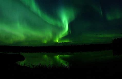 northern lights, sky, night, aurora, green, astronomy, atmosphere, aurora borealis, borealis ...