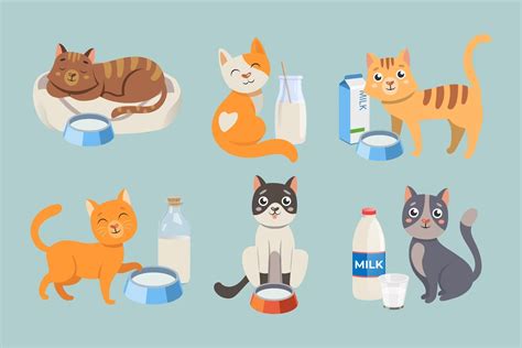 Understanding Cat Nutrition: Key Dietary Needs and Choosing the Right