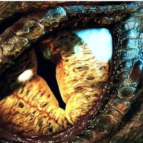 Smaug's eye | Smaug, The hobbit, Lord of the rings