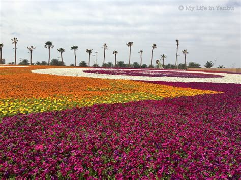 Yanbu Flower Festival 2017