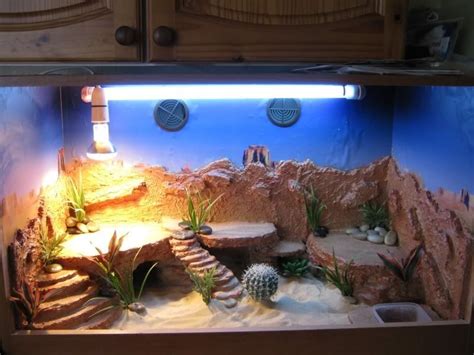 desert tank | Bearded dragon, Reptile terrarium, Bearded dragon terrarium ideas