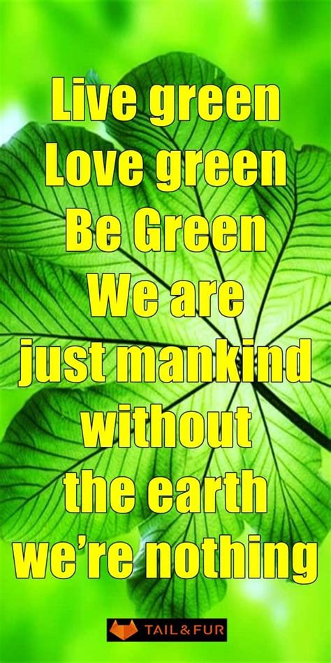 Heart Touching Sayings And Slogans On Save Environment