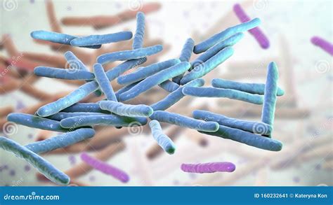 Mycobacterium Leprae Bacteria Stock Illustration - Illustration of microscopic, cell: 160232641