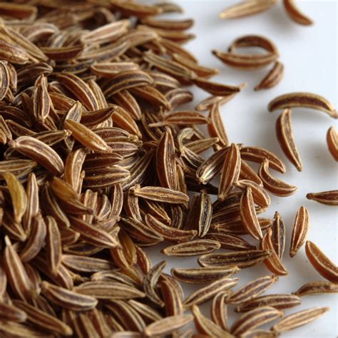 ANISE SEED WHOLE – Golden Gate Herbs