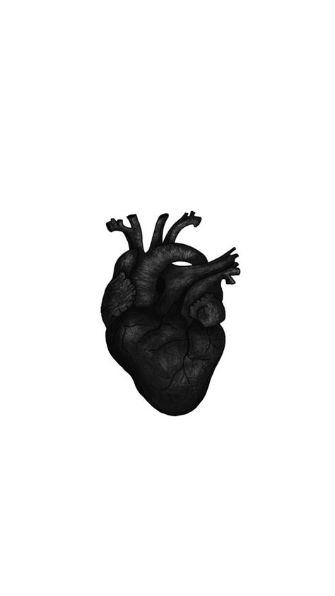 Black heart anatomy wallpaper | Corpo umano, Sfondi, Corpo