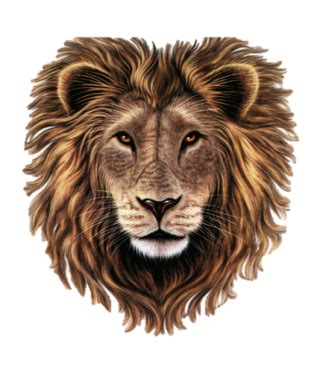 Lion head png free png image downloads