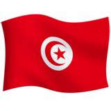🇹🇳 Drapeau: Tunisie Emoji on Twitter Emoji Stickers 13.1