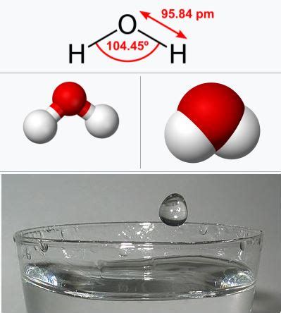 Water: The Universal Solvent and solvent of life - INSIDE CHEMISTRY