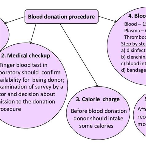 Steps of blood donation procedure. | Download Scientific Diagram