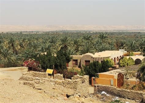 Bahariya Oasis | Bahariya Oasis Egypt | Egypt Desert