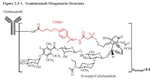 can you explain the structure of gemtuzumab ozogamicin? where are the ...