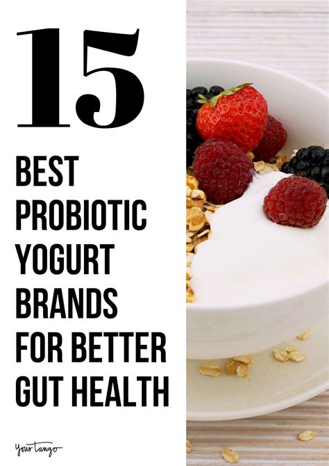 The 15 Best Probiotic Yogurt Brands For Better Gut Health | Probiotic ...