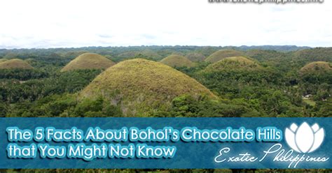 The 5 Facts About Bohol’s Chocolate Hills that You Might Not Know ...