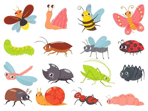 Types Of Insects For Kids - Bugs Learn About Insects And Arachnids : *this post contains ...